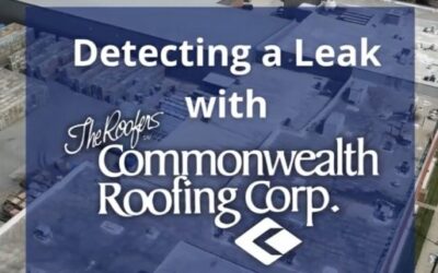 Detecting a Leak Before it Ruins Your Roof