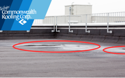 Pre Winter Roof Check: 5 Warning Signs You Can’t Ignore