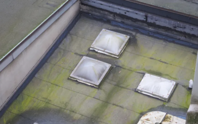 Winter Roof Health — An Owner’s Guide to Spot Problems Early and Prevent Costly Damage