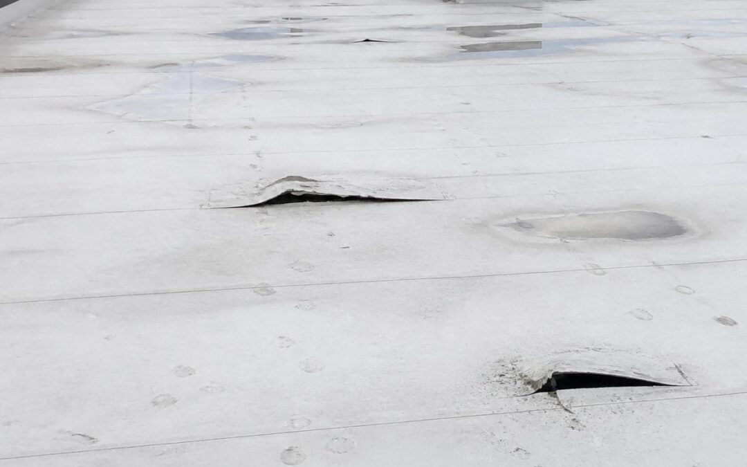 How to Identify Wind Damage on a Commercial Roof — and What to Do About It